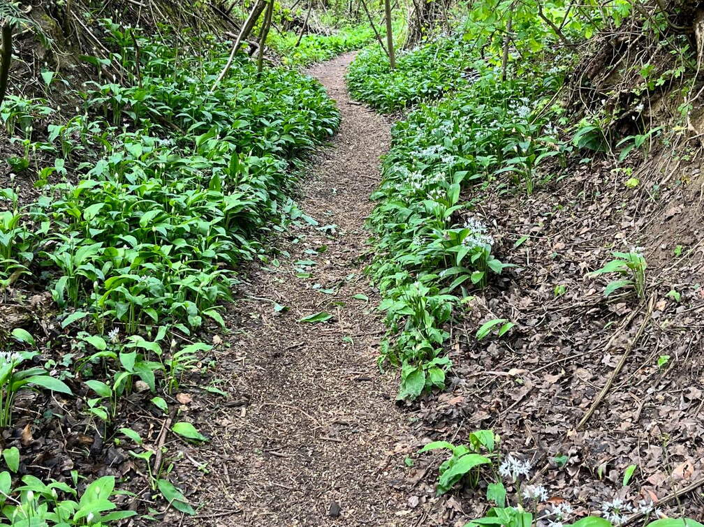 22-04-25 11-24-29 0619